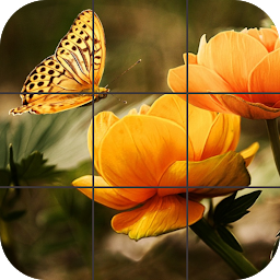 Icon image Butterfly Jigsaw Puzzles