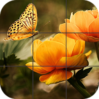 Butterfly Jigsaw Puzzles