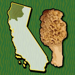 Icon image California NW Mushroom Forager
