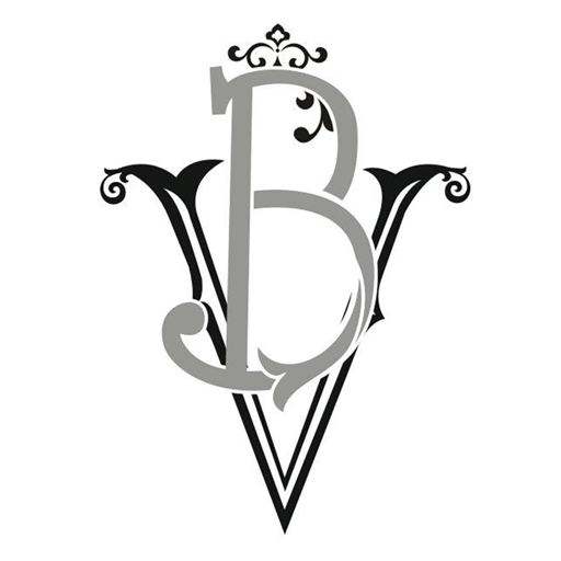 BV UAV Download on Windows