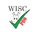 WISC-V Test Preparation Pro