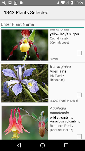 Wisconsin Wildflowers Screen 3