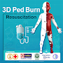 3D Ped Burn Resuscitation