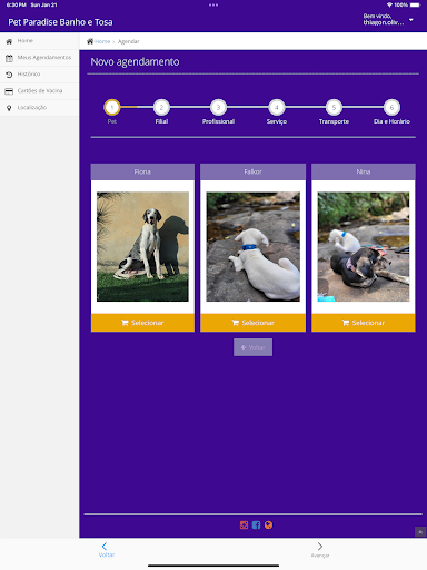 Pet Paradise Banho e Tosa