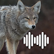 Coyote Hunting Calls - Androidアプリ