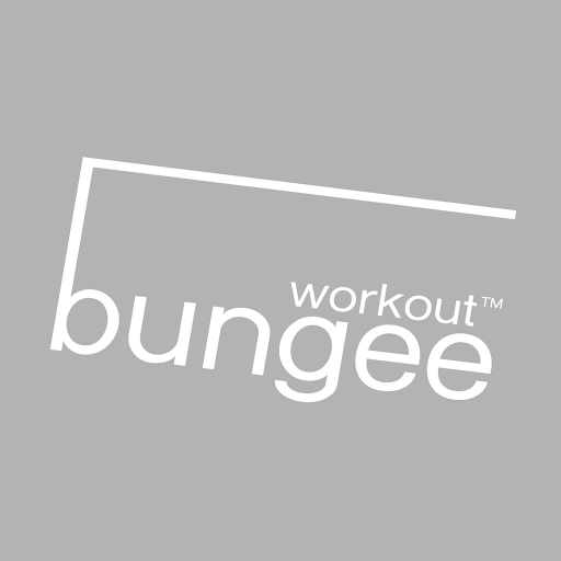 Bungee Workout Spb logo