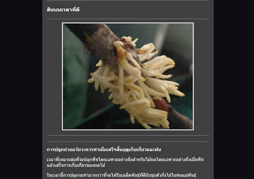 Complete Grafting Guide