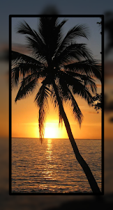 Palm Tree Wallpaper HD Beach