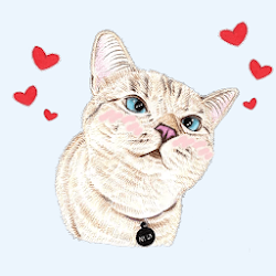 Download Cats E Gattini Adesivi Wastickerapps 1 0 1 Apk For Android Apkdl In