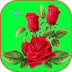 Cover Image of Download Ramos De Rosas y Flores 4K GIF 1.0 APK