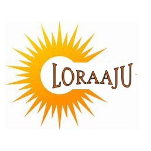 LORAAJU EDUCATION logo
