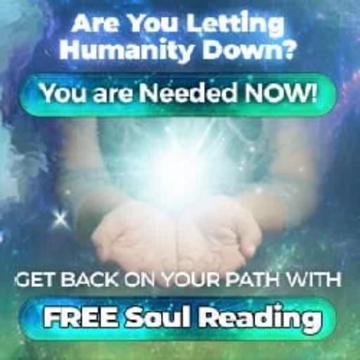 Soul Manifestation, The Wish App, Miracle Morning