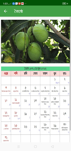 Bengali Calendar 1431 Screen 3