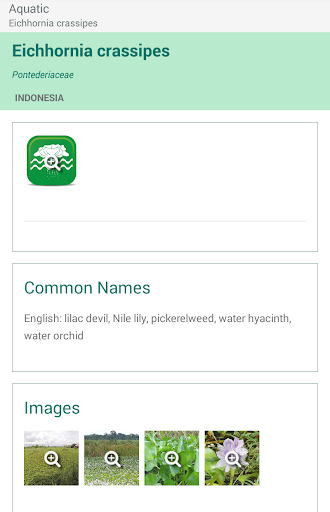 Invasive Species ID Guide Screen 2
