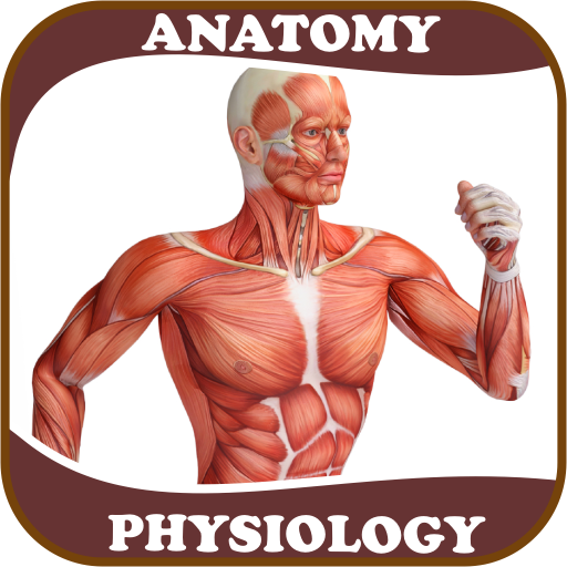Human Anatomy and Physiology 1.1.1 Icon