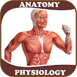 Human Anatomy and Physiology: With Illustrations icon
