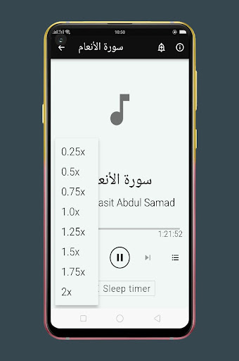 سورة الأنعام مكرر