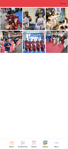Regulus Irvine Taekwondo Screen 2