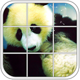Panda Epic Puzzle icon