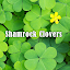 Shamrock Clovers Theme +HOME