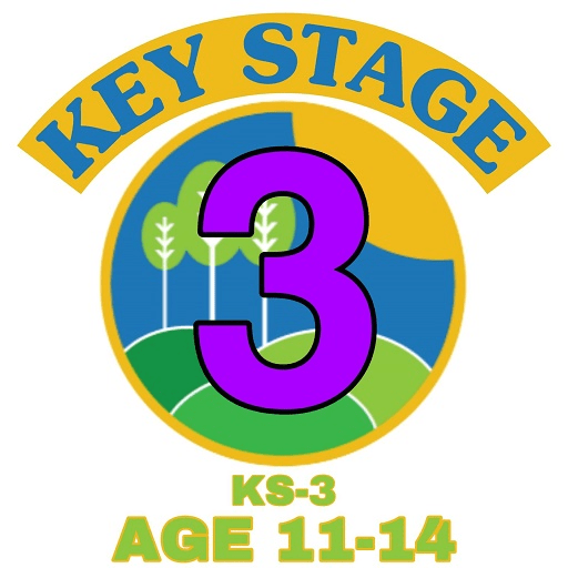 KS3 Tests And Practice logo
