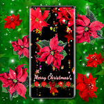 Cover Image of Download Poinsettia 4K Christmas Flower  APK