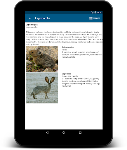 Stuarts North American Mammals Screenshot