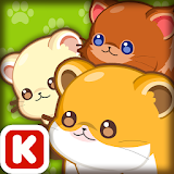 Animal Judy: Hamster care icon