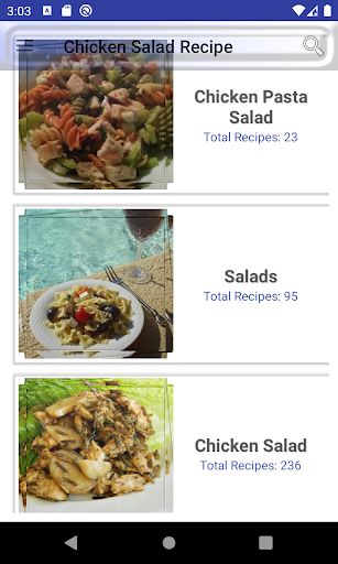 chicken salad Screen 2