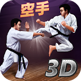 Karate Fighting Tiger 3D icon