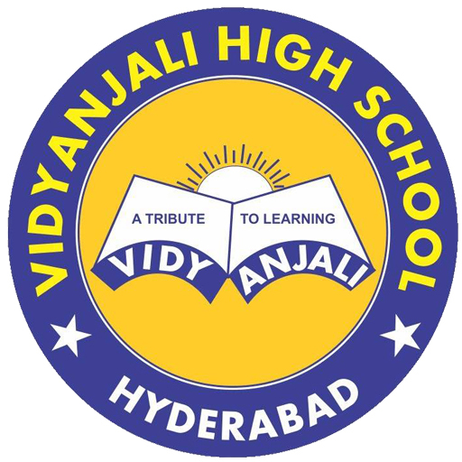 VIDYANJALI HIGH SCHOOL logo