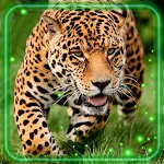 Cover Image of Télécharger Leopard Predator  APK
