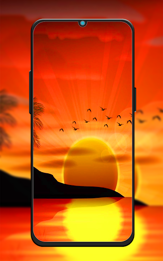 Colors Colorful Wallpaper