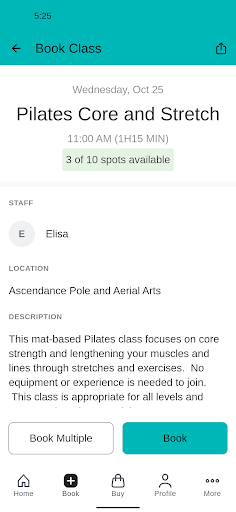 Ascendance Pole and Aerial Art