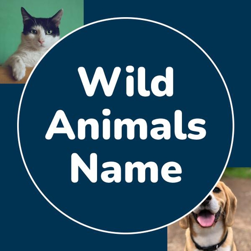 WILD ANIMALS NAME
