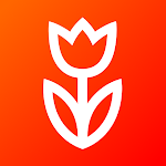 Cover Image of 下载 Flowwow – Reliable delivery 3.3.2 APK
