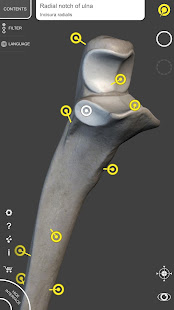 Skeleton | 3D Anatomy 2.5.3 Screenshots 5