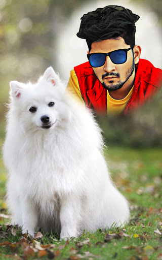 Dog photo editor pet frames