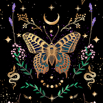 Cover Image of Download Butterfly In Galaxy- Wallpaper  APK