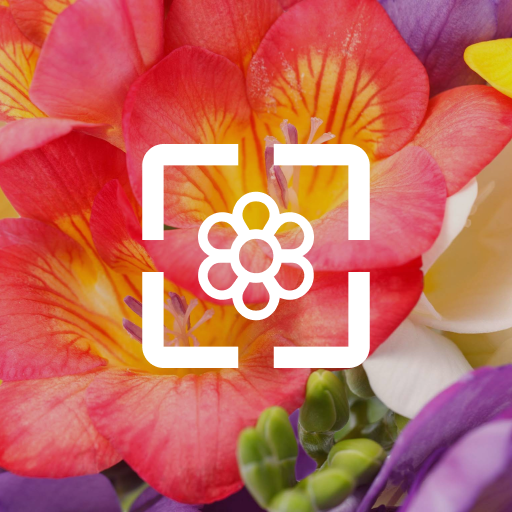 Flower Wallpaper HD logo