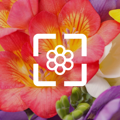 Flower Wallpaper HD 3.02 Icon