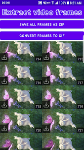 Frame by Frame Video Player