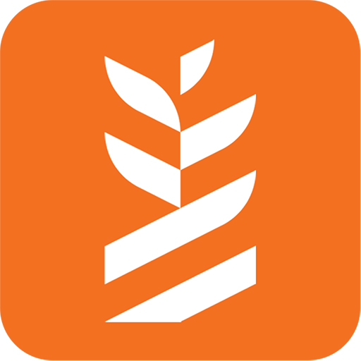خبره logo