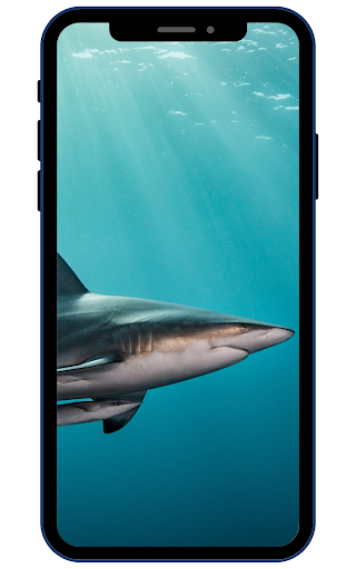 Shark Wallpapers Screen 3