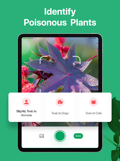 PictureThis - Plant Identifier - Education - apps