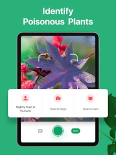 PictureThis - Plant Identifier Screenshot