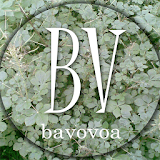 BAVOVOA icon