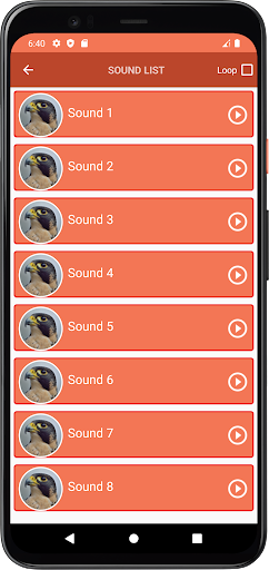 Peregrine Falcon Sounds Screen 3