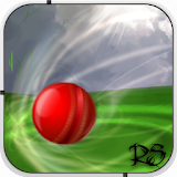 Rogue Cricket Ball icon