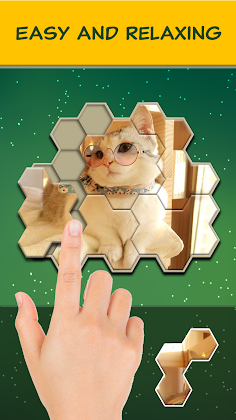 Jigsaw Hexa Block - Screenshot 1